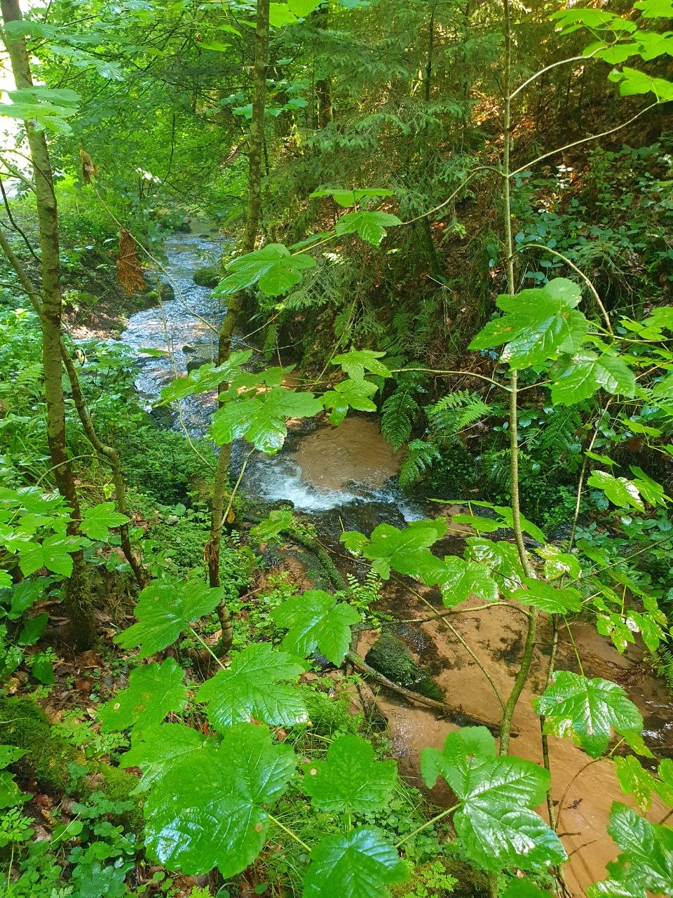 Frequenzpause – Der Bach fragt nicht nach dem Weg