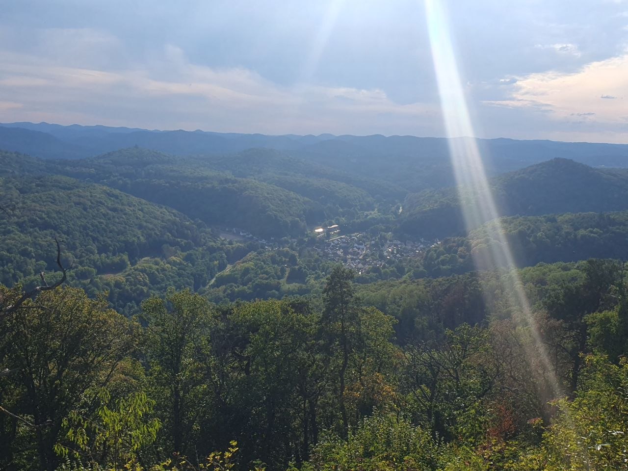 Im Spiegel des Feldes